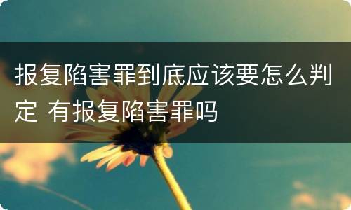 报复陷害罪到底应该要怎么判定 有报复陷害罪吗