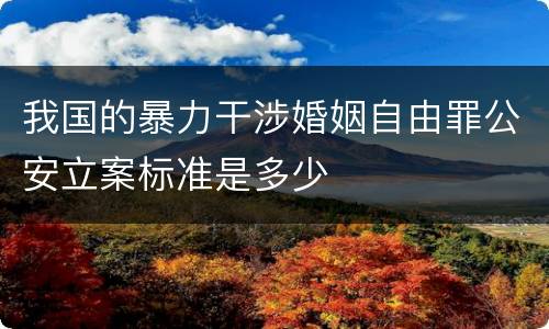 我国的暴力干涉婚姻自由罪公安立案标准是多少