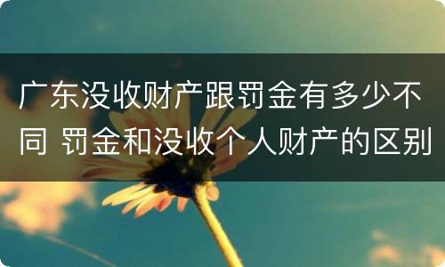 广东没收财产跟罚金有多少不同 罚金和没收个人财产的区别
