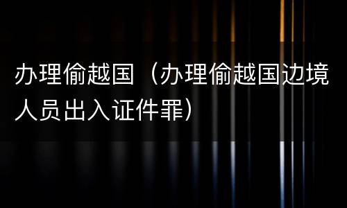办理偷越国（办理偷越国边境人员出入证件罪）