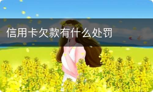 信用卡欠款有什么处罚