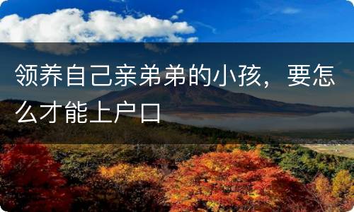 领养自己亲弟弟的小孩，要怎么才能上户口