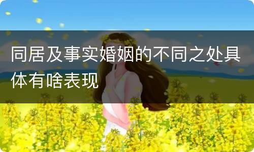 同居及事实婚姻的不同之处具体有啥表现