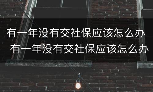 有一年没有交社保应该怎么办 有一年没有交社保应该怎么办呢