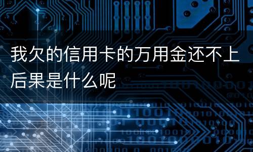 我欠的信用卡的万用金还不上后果是什么呢