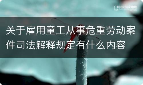 关于雇用童工从事危重劳动案件司法解释规定有什么内容