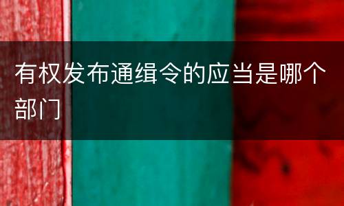 有权发布通缉令的应当是哪个部门