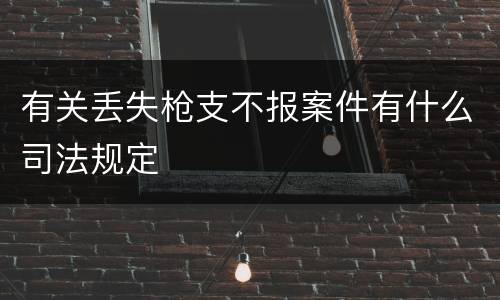有关丢失枪支不报案件有什么司法规定