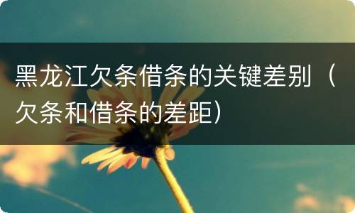 黑龙江欠条借条的关键差别（欠条和借条的差距）