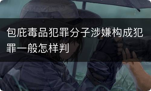 包庇毒品犯罪分子涉嫌构成犯罪一般怎样判