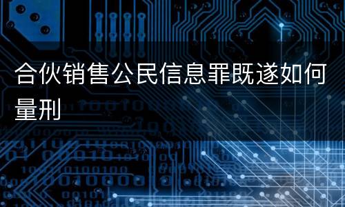 合伙销售公民信息罪既遂如何量刑