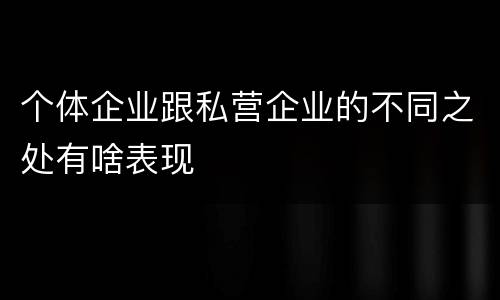 个体企业跟私营企业的不同之处有啥表现