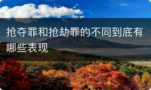 抢夺罪和抢劫罪的不同到底有哪些表现
