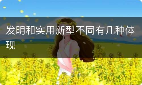 发明和实用新型不同有几种体现
