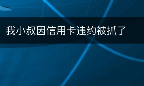我小叔因信用卡违约被抓了