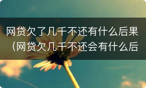 网贷欠了几千不还有什么后果（网贷欠几千不还会有什么后果）