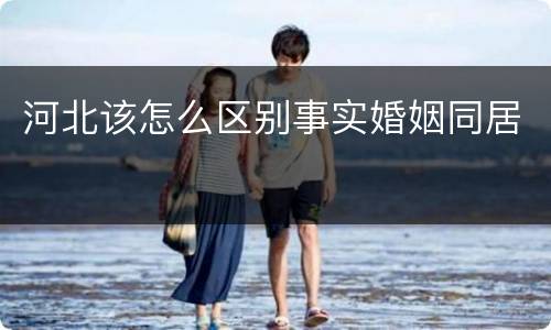 河北该怎么区别事实婚姻同居