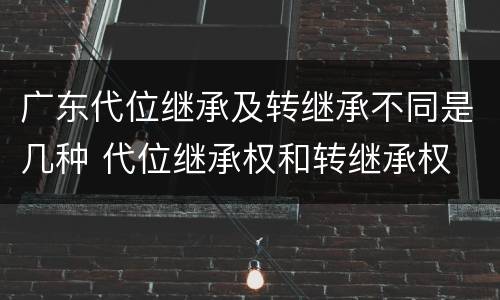 广东代位继承及转继承不同是几种 代位继承权和转继承权