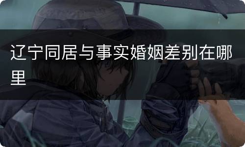 辽宁同居与事实婚姻差别在哪里