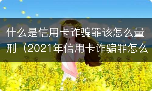 什么是信用卡诈骗罪该怎么量刑（2021年信用卡诈骗罪怎么认定）