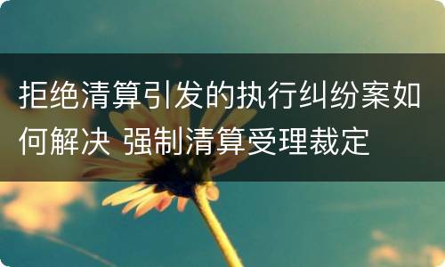拒绝清算引发的执行纠纷案如何解决 强制清算受理裁定