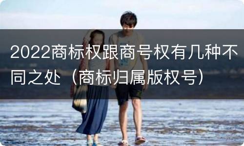 2022商标权跟商号权有几种不同之处（商标归属版权号）