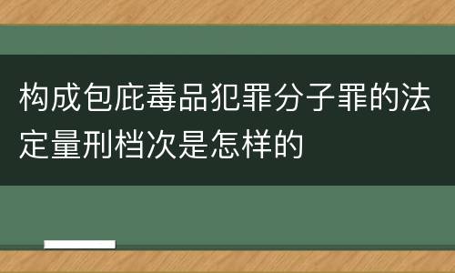 构成包庇毒品犯罪分子罪的法定量刑档次是怎样的