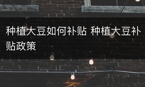 种植大豆如何补贴 种植大豆补贴政策