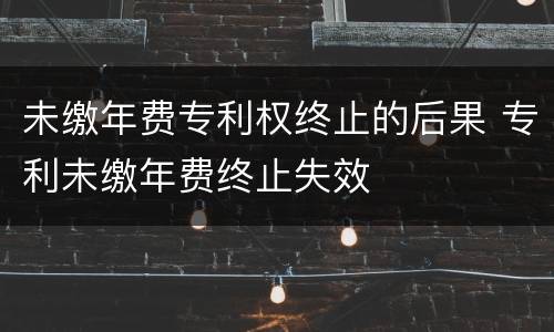 未缴年费专利权终止的后果 专利未缴年费终止失效