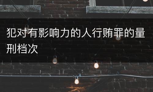 犯对有影响力的人行贿罪的量刑档次