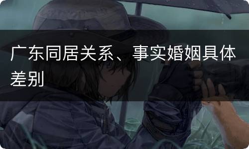 广东同居关系、事实婚姻具体差别