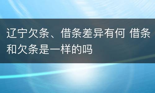 辽宁欠条、借条差异有何 借条和欠条是一样的吗