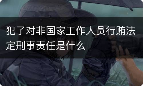 犯了对非国家工作人员行贿法定刑事责任是什么