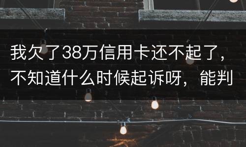 我欠了38万信用卡还不起了，不知道什么时候起诉呀，能判刑几年