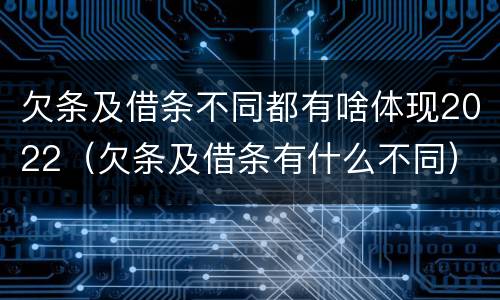 欠条及借条不同都有啥体现2022（欠条及借条有什么不同）