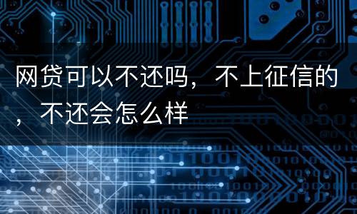 网贷可以不还吗，不上征信的，不还会怎么样