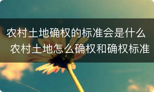 农村土地确权的标准会是什么 农村土地怎么确权和确权标准