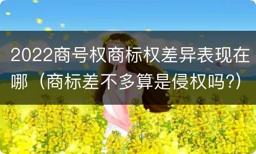 2022商号权商标权差异表现在哪（商标差不多算是侵权吗?）