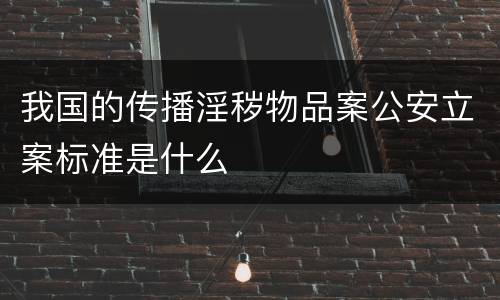 我国的传播淫秽物品案公安立案标准是什么