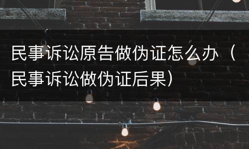 民事诉讼原告做伪证怎么办（民事诉讼做伪证后果）