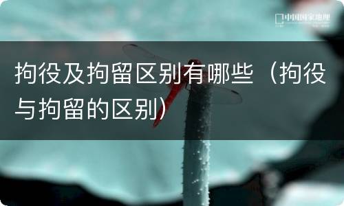 拘役及拘留区别有哪些（拘役与拘留的区别）