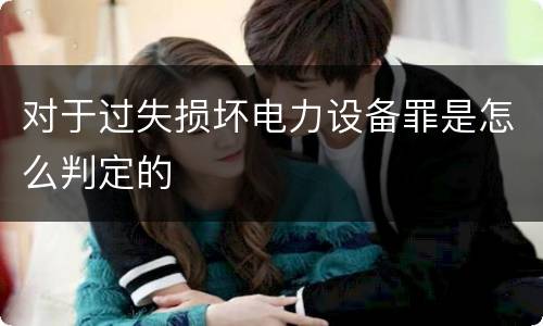对于过失损坏电力设备罪是怎么判定的