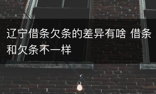 辽宁借条欠条的差异有啥 借条和欠条不一样