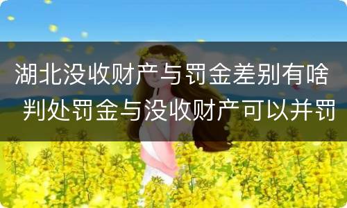 湖北没收财产与罚金差别有啥 判处罚金与没收财产可以并罚吗