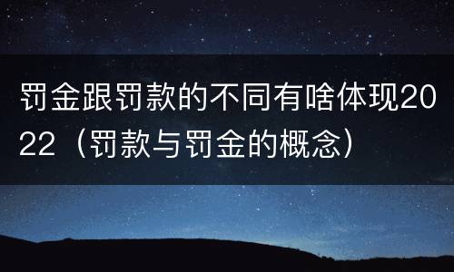 罚金跟罚款的不同有啥体现2022（罚款与罚金的概念）