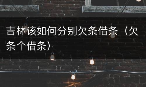 吉林该如何分别欠条借条（欠条个借条）