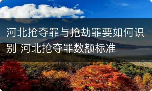 河北抢夺罪与抢劫罪要如何识别 河北抢夺罪数额标准