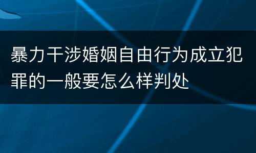 暴力干涉婚姻自由行为成立犯罪的一般要怎么样判处