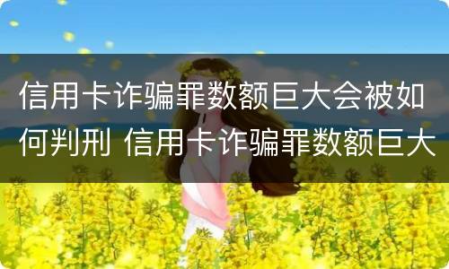 信用卡诈骗罪数额巨大会被如何判刑 信用卡诈骗罪数额巨大会被如何判刑呢