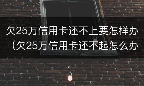 欠25万信用卡还不上要怎样办（欠25万信用卡还不起怎么办）